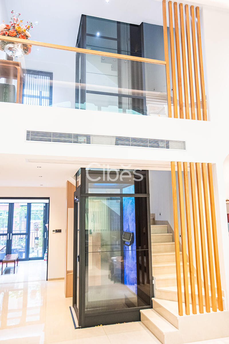 广东珠海家用电梯案例