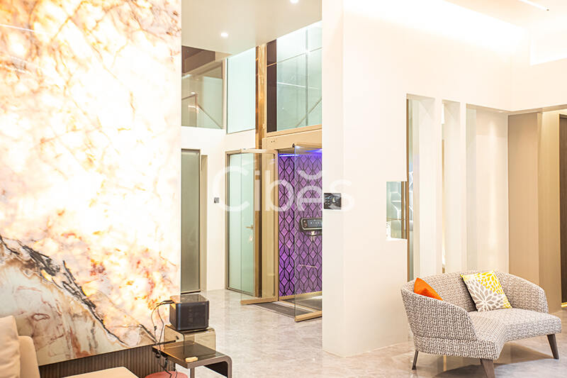 Cibes大发500珠海别墅电梯案例