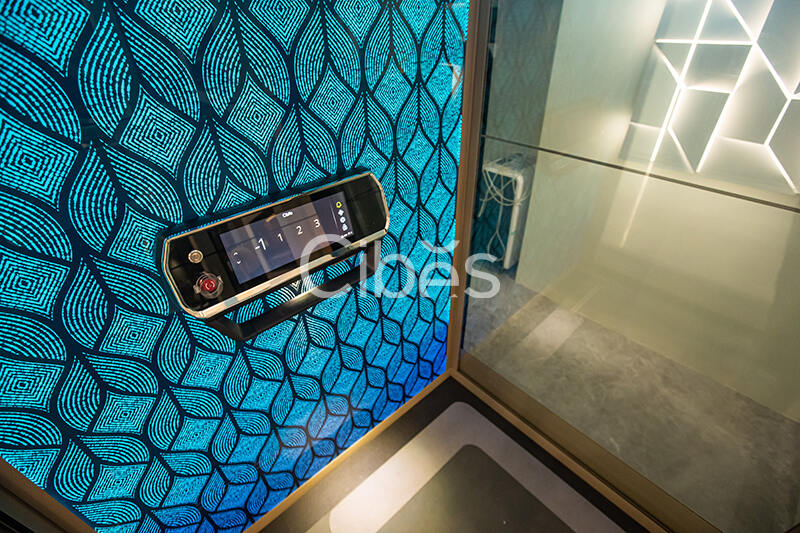 Cibes大发500珠海别墅电梯案例