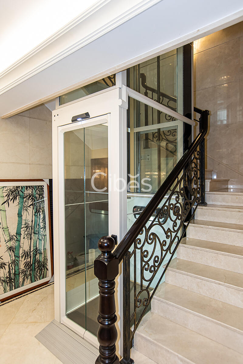 Cibes大发500中山别墅电梯案例