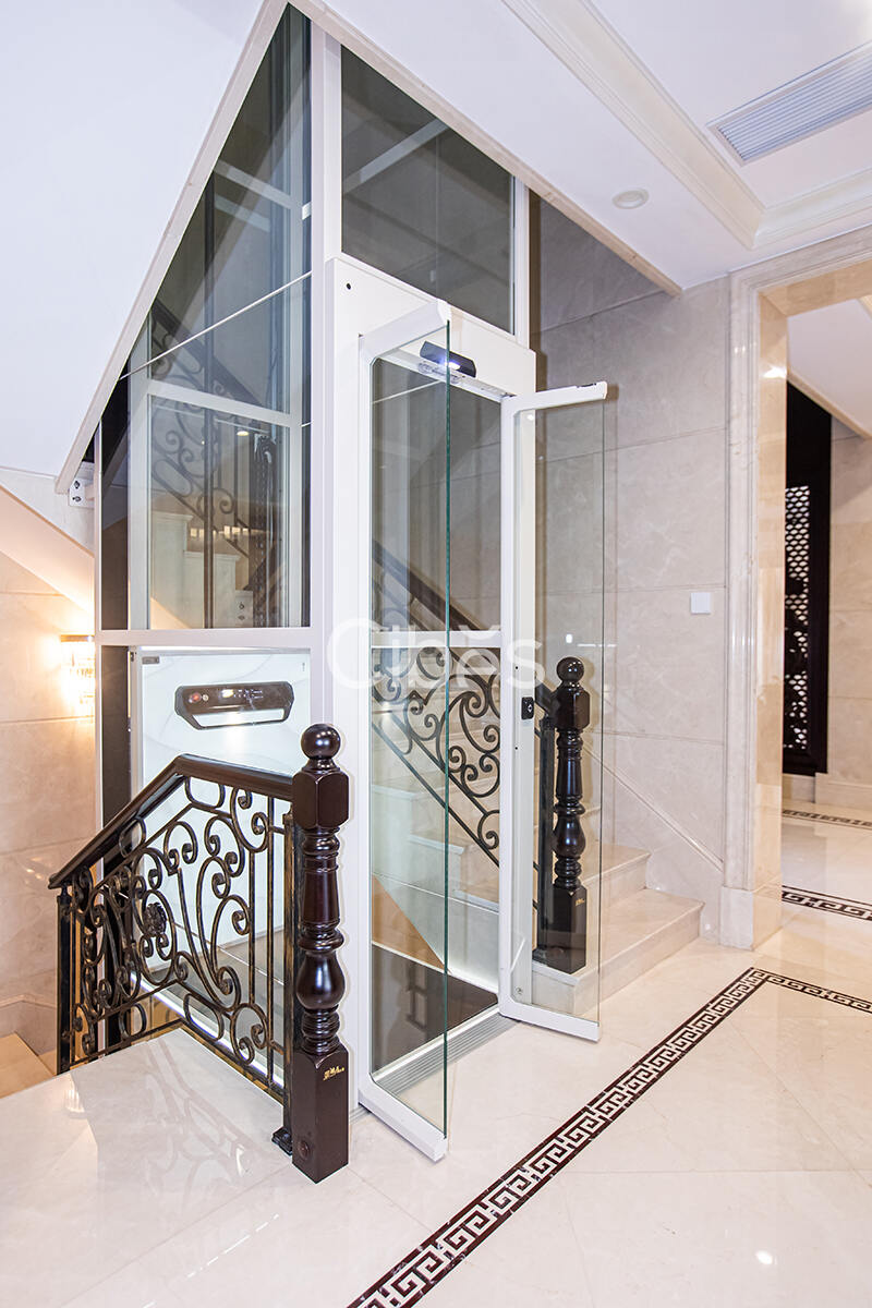 Cibes大发500中山别墅电梯案例