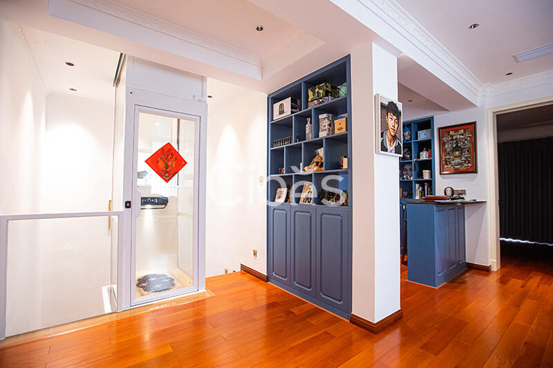 Cibes大发500中山别墅电梯案例