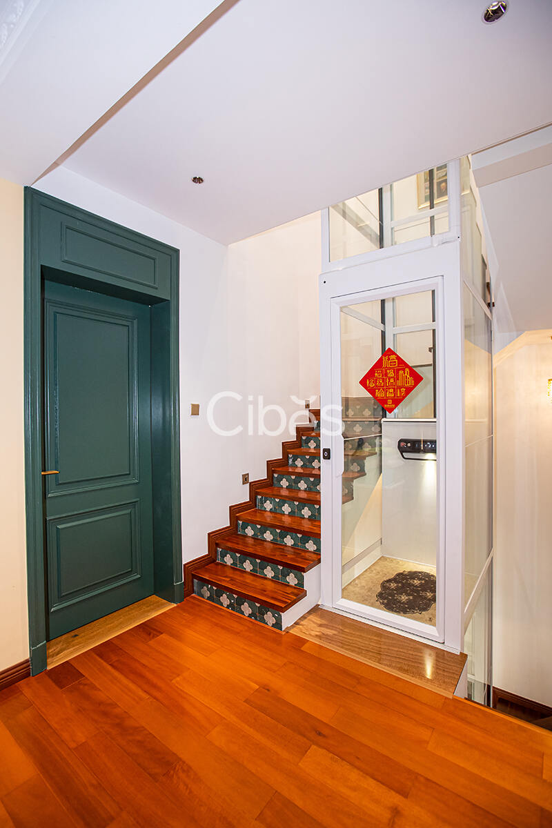 Cibes大发500中山别墅电梯案例