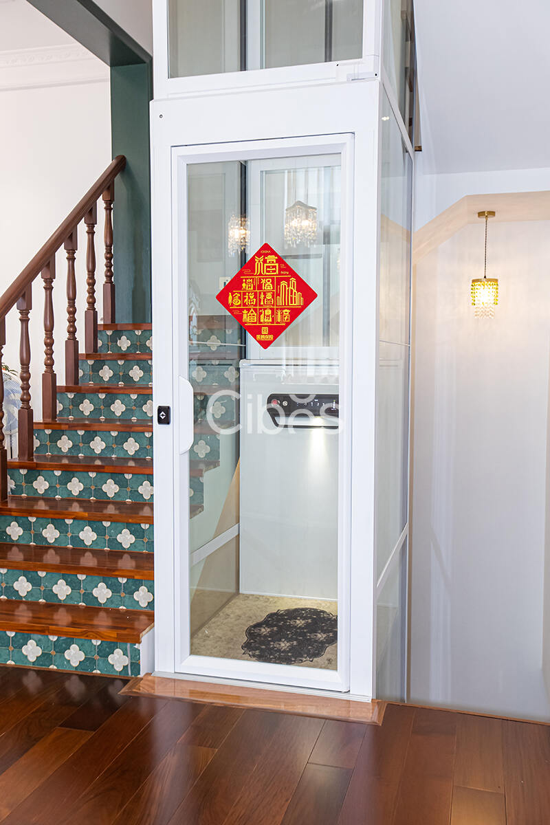 Cibes大发500中山别墅电梯案例