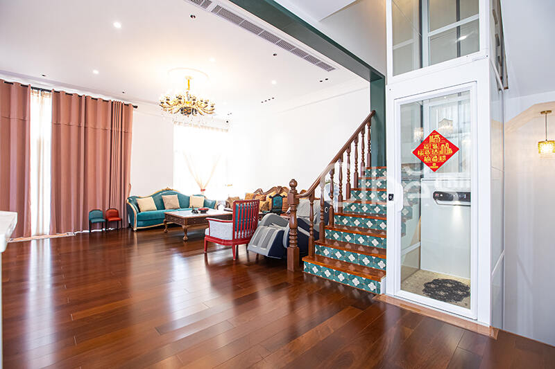 Cibes大发500中山别墅电梯案例