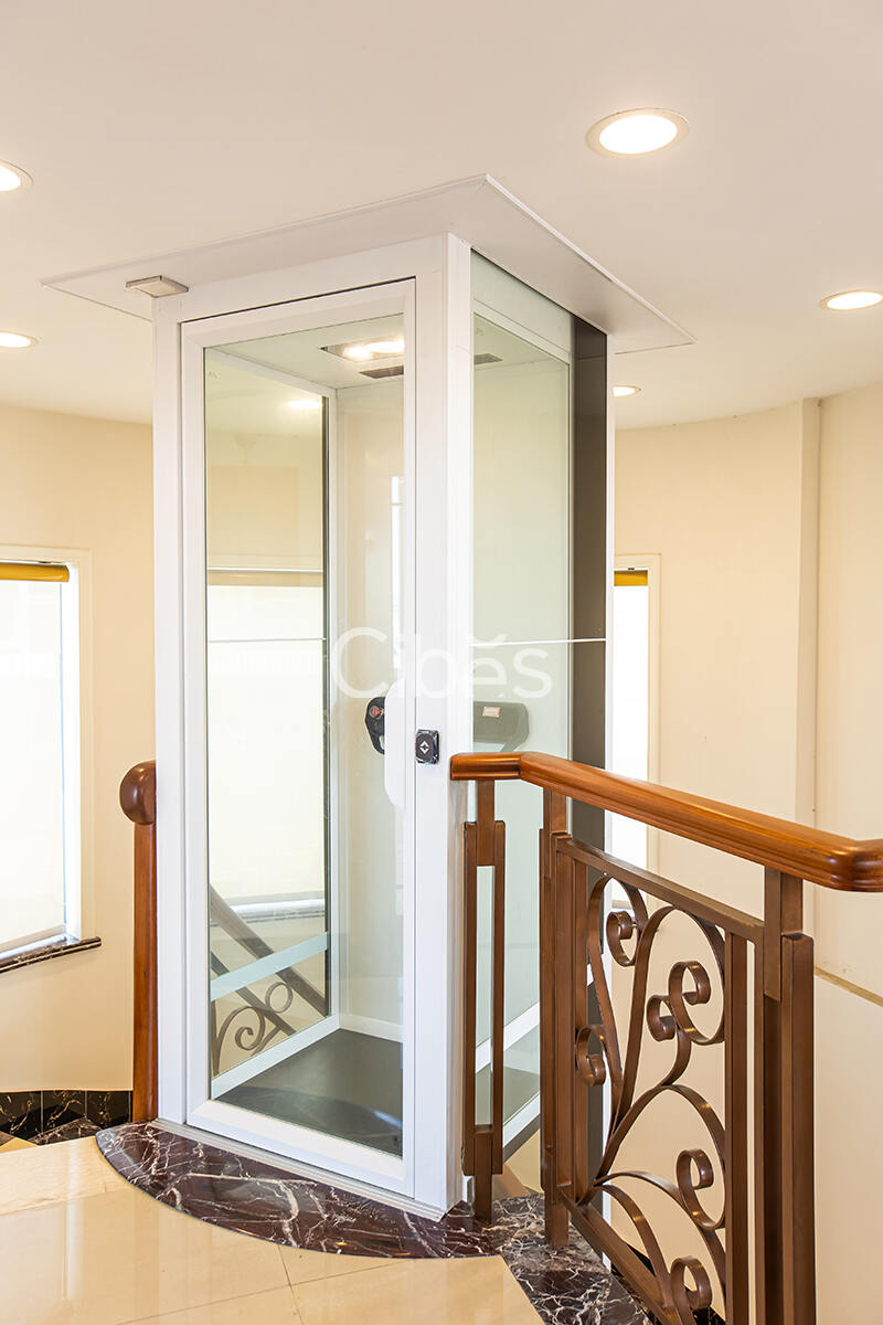 Cibes大发500别墅电梯中山案例