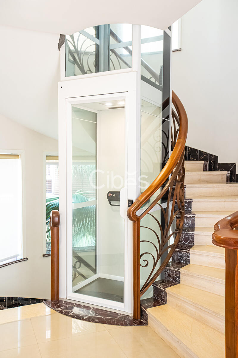 Cibes大发500别墅电梯中山案例