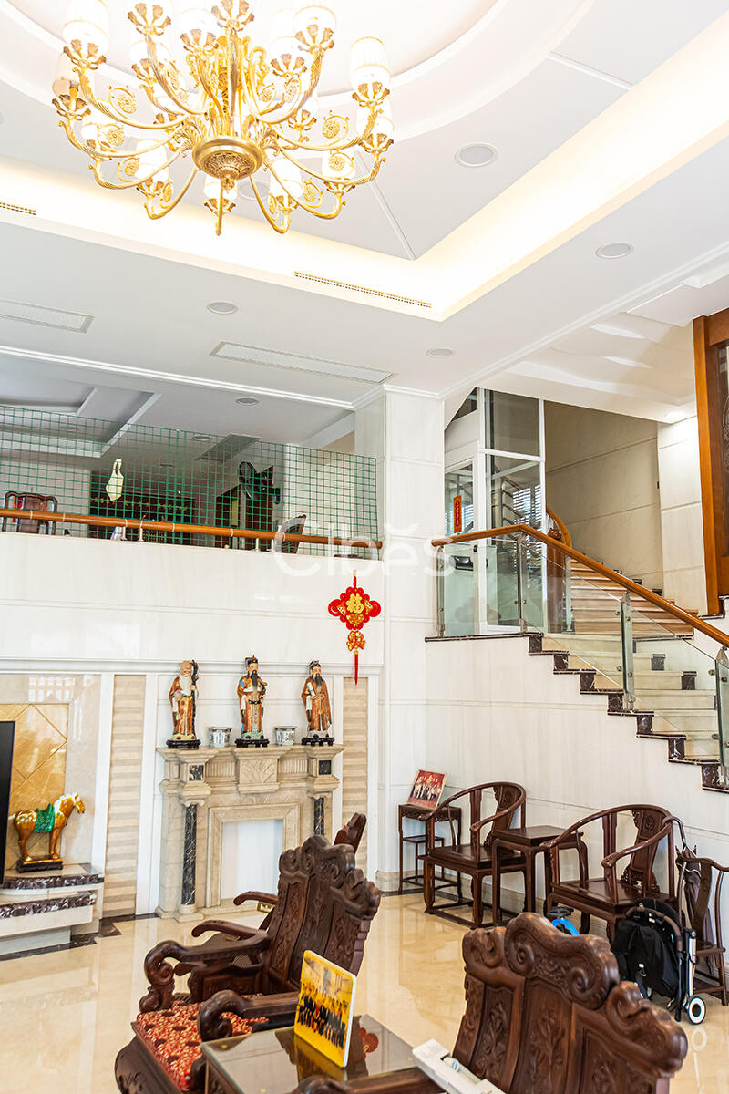 Cibes大发500别墅电梯中山案例