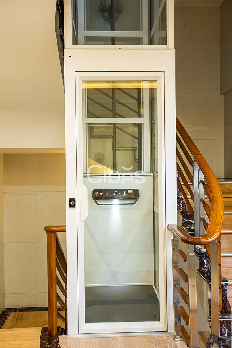 Cibes大发500别墅电梯中山案例