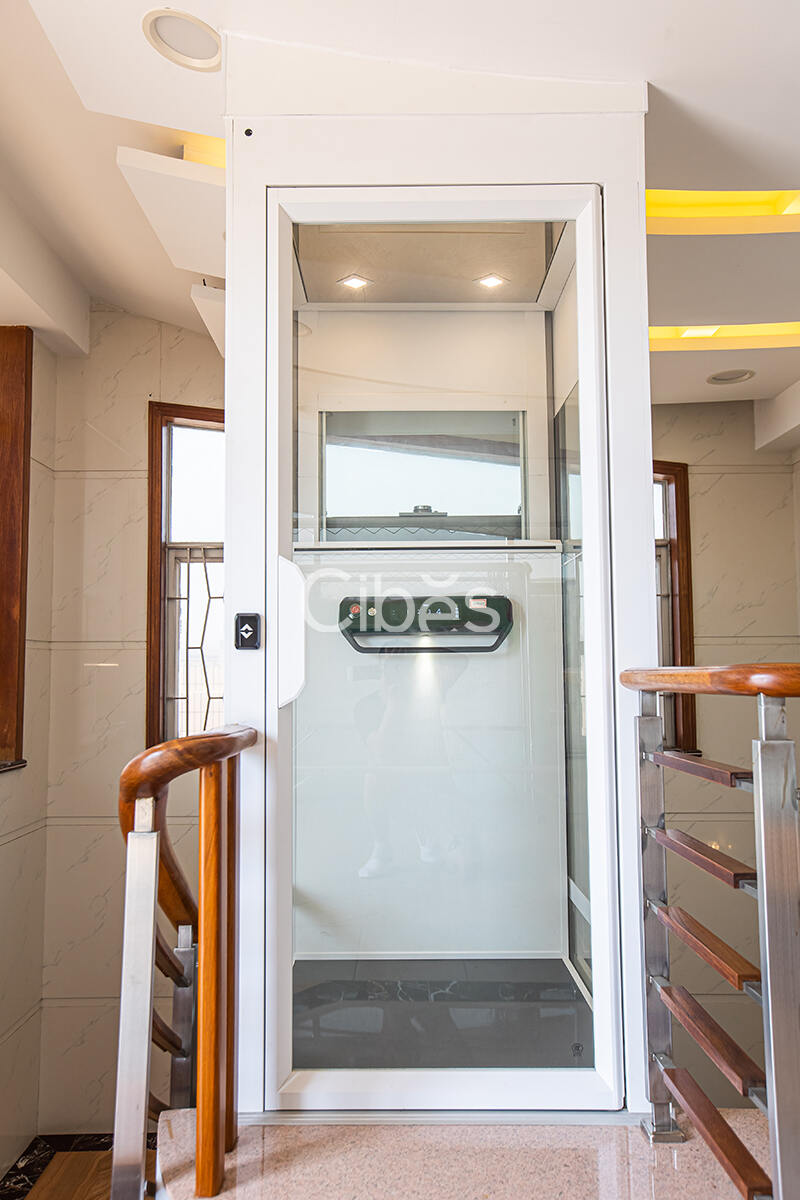 Cibes大发500别墅电梯中山案例