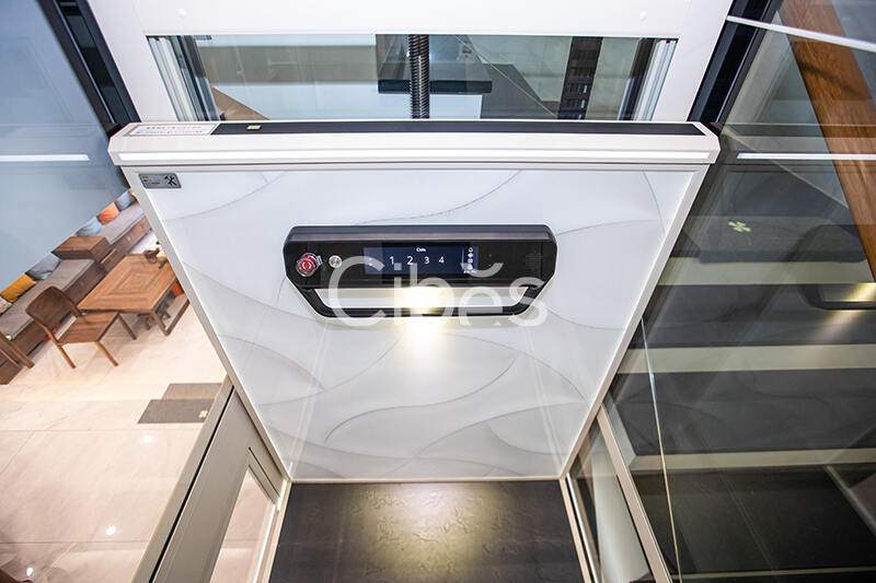 Cibes大发500家用电梯广东佛山案例