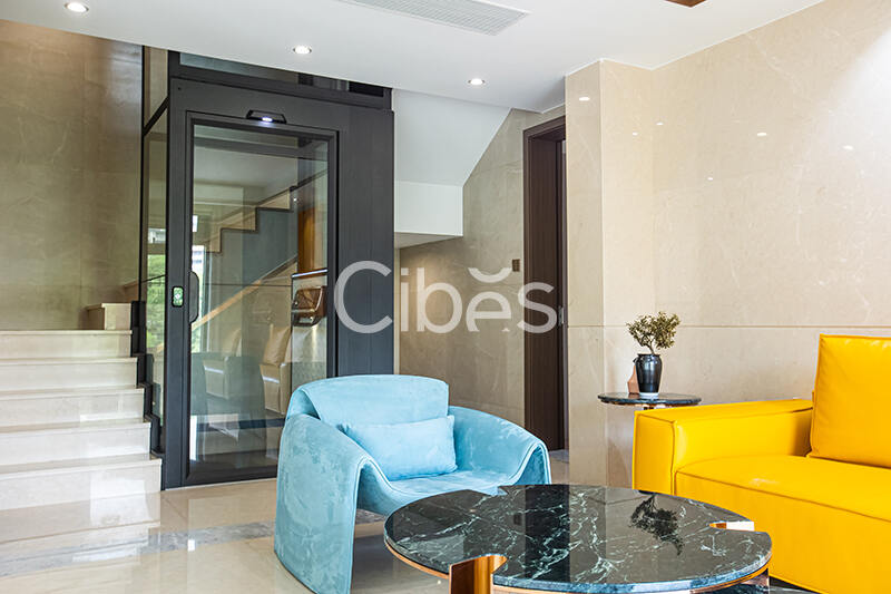 Cibes大发500家用电梯广东佛山案例