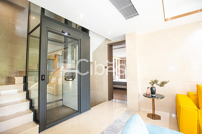 Cibes大发500家用电梯广东佛山案例