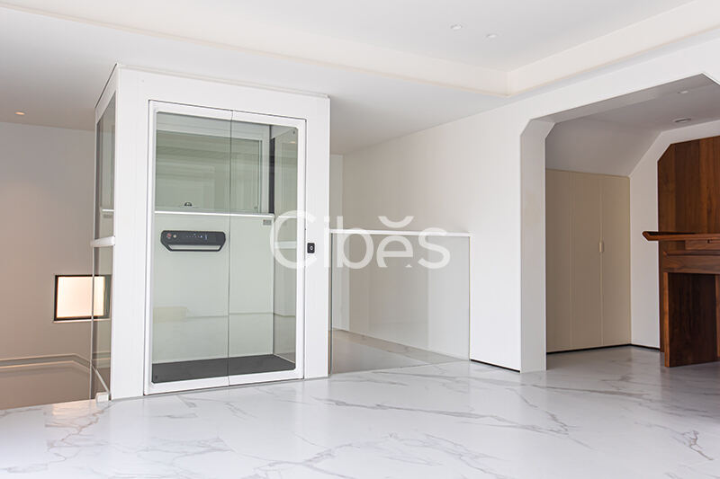 Cibes大发500别墅电梯泉州案例