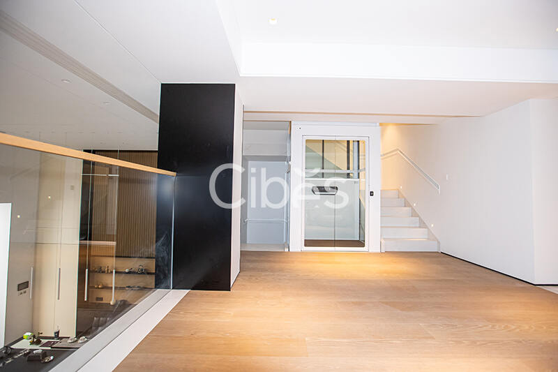 Cibes大发500别墅电梯泉州案例