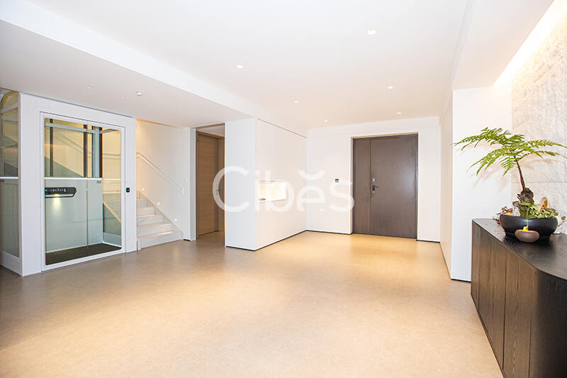 Cibes大发500别墅电梯泉州案例