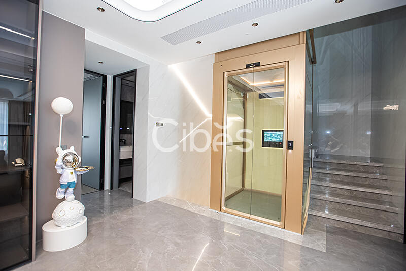 Cibes大发500别墅电梯泉州案例
