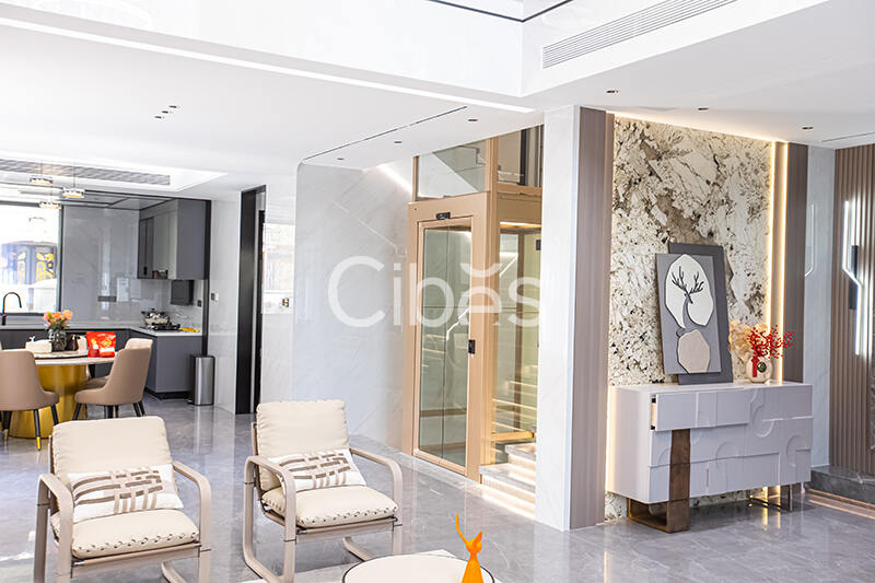 Cibes大发500别墅电梯泉州案例