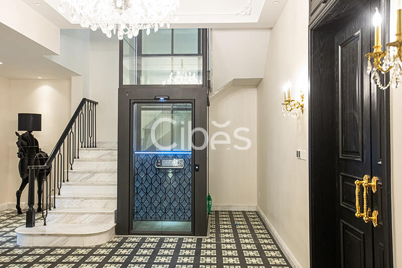 Cibes大发500别墅电梯案例