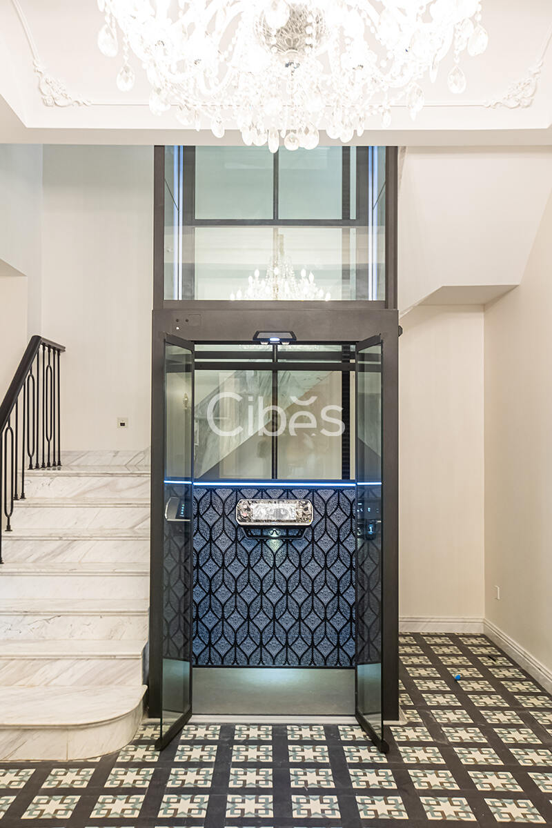Cibes大发500别墅电梯案例