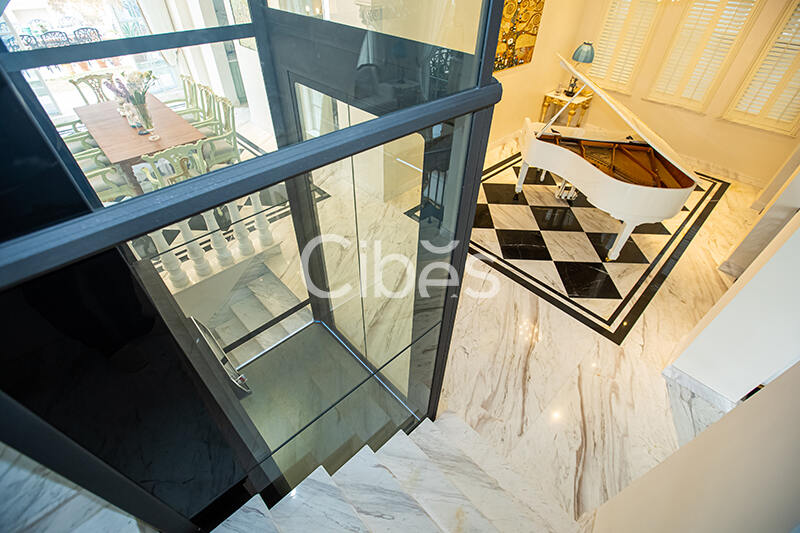 Cibes大发500别墅电梯案例