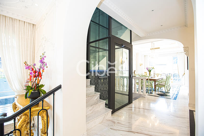 Cibes大发500别墅电梯案例