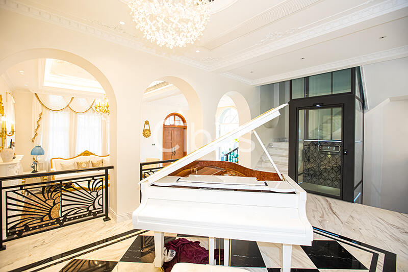 Cibes大发500别墅电梯案例