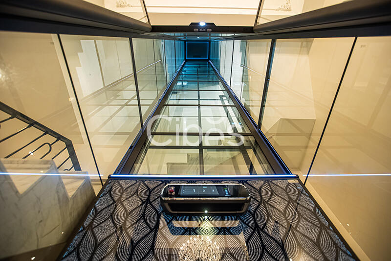 Cibes大发500别墅电梯案例