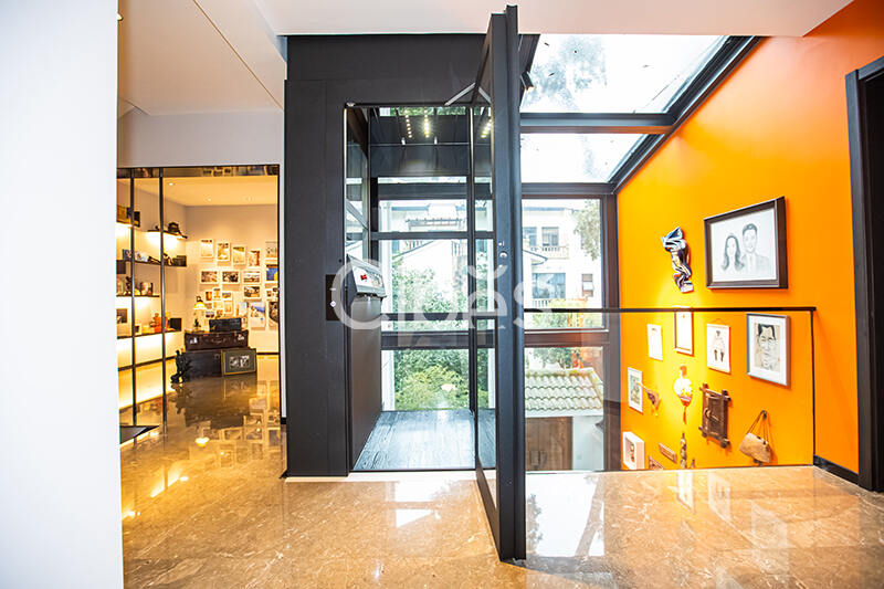 Cibes大发500别墅电梯案例