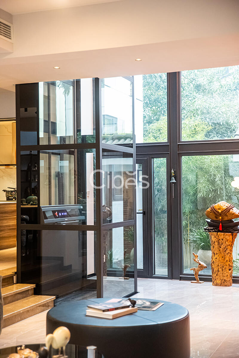 Cibes大发500别墅电梯案例