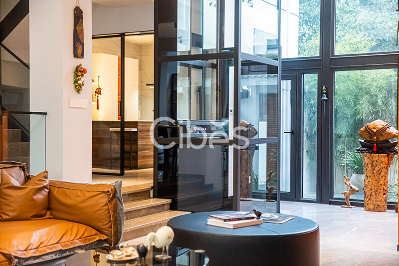 Cibes大发500别墅电梯案例