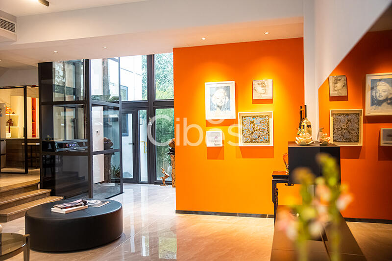 Cibes大发500别墅电梯案例