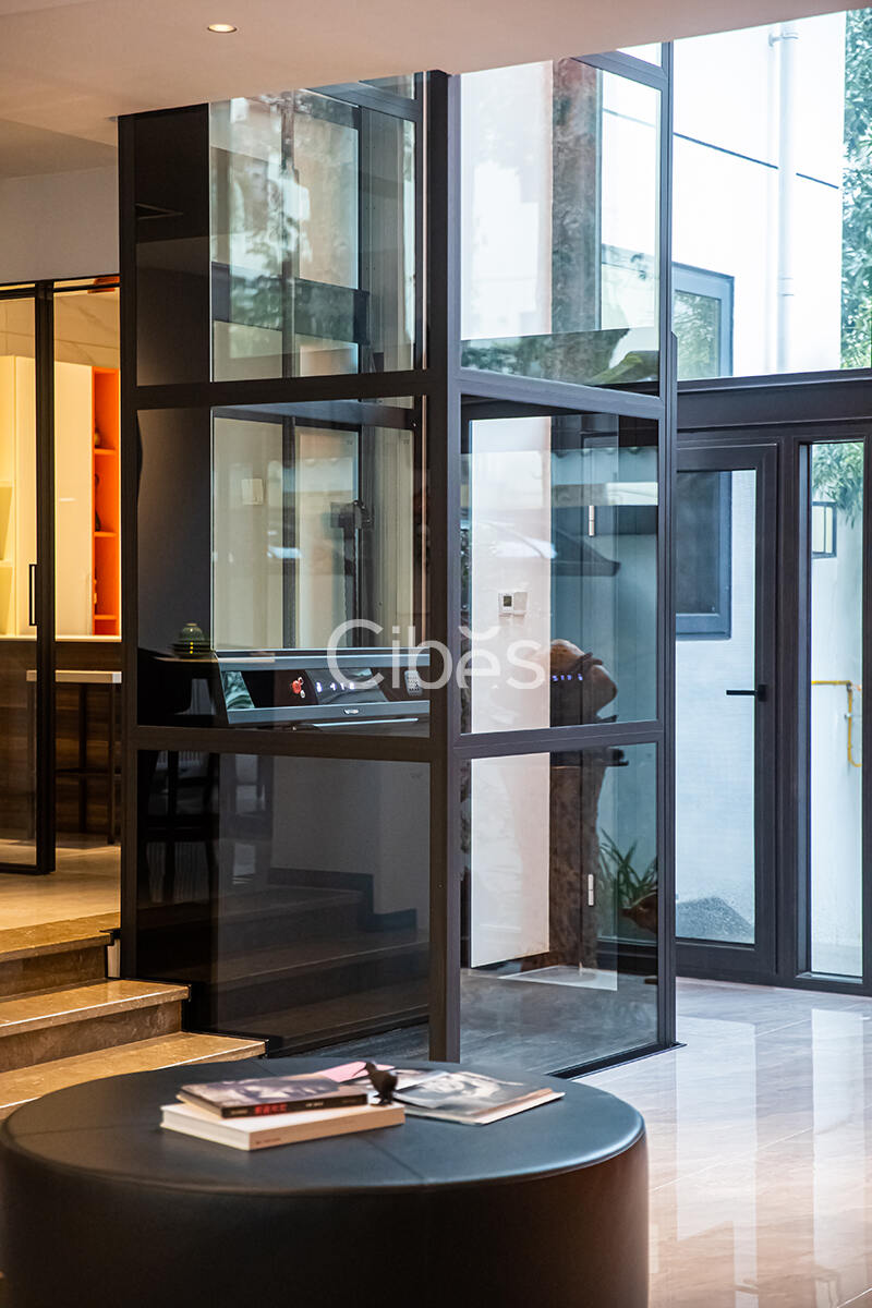 Cibes大发500别墅电梯案例