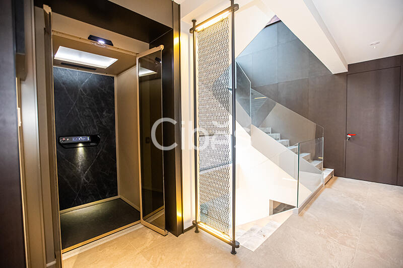 Cibes大发500别墅电梯案例