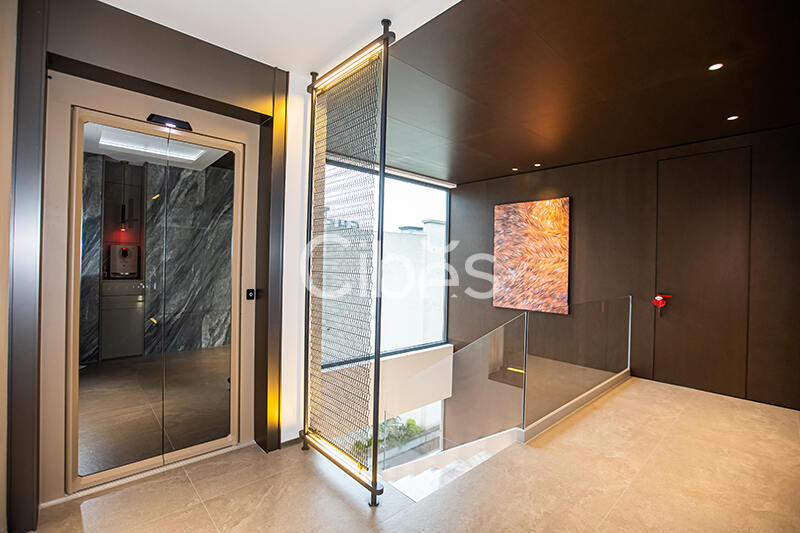 Cibes大发500别墅电梯案例