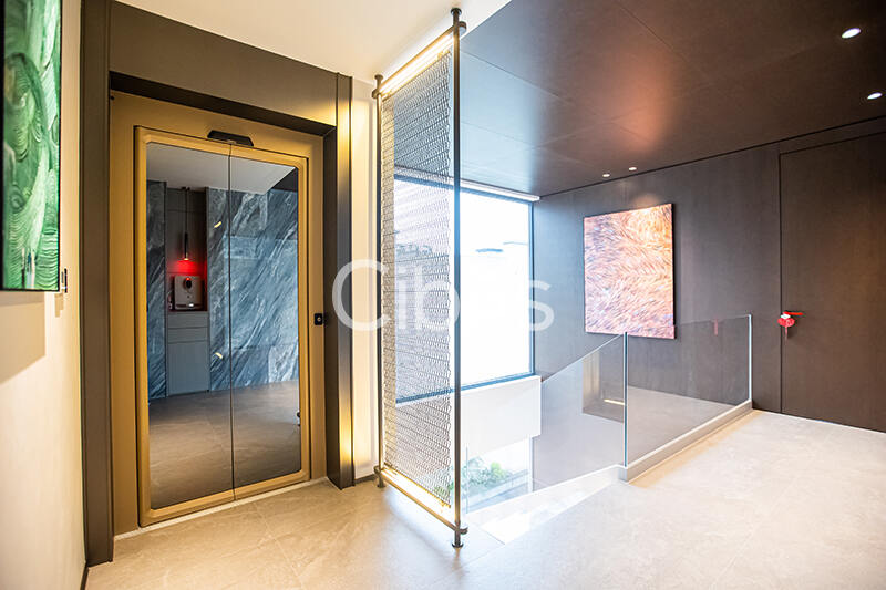 Cibes大发500别墅电梯案例
