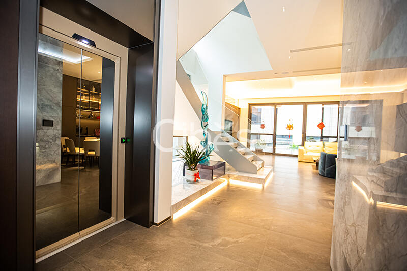 Cibes大发500别墅电梯案例