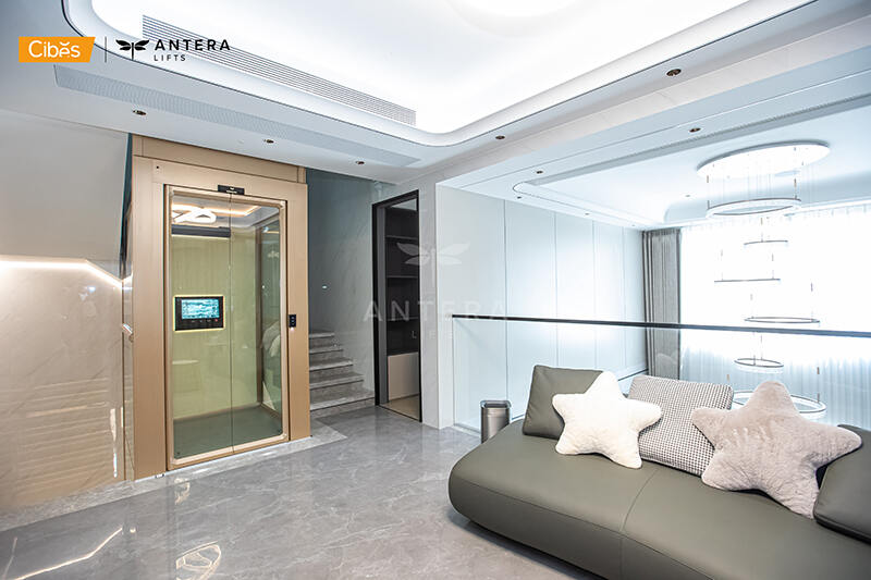 Cibes大发500泉州别墅电梯案例