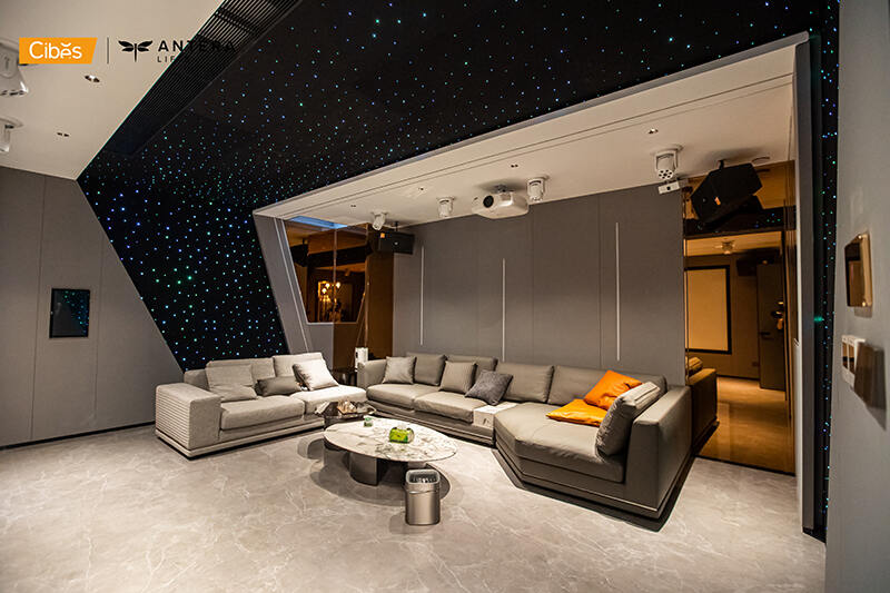 Cibes大发500泉州别墅电梯案例