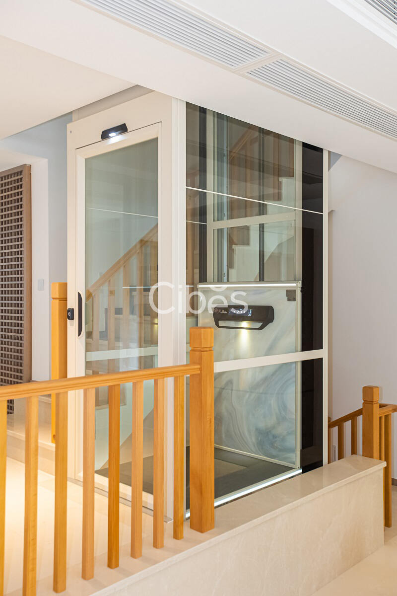 大发500别墅电梯V80时尚版重庆案例