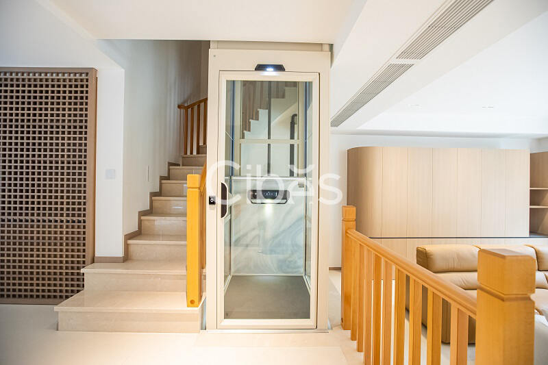 大发500别墅电梯V80时尚版重庆案例