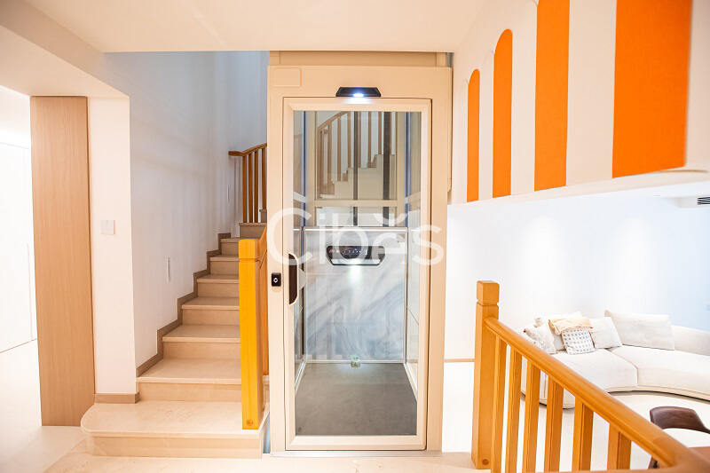 大发500别墅电梯V80时尚版重庆案例