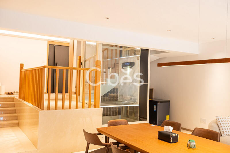 大发500别墅电梯V80时尚版重庆案例