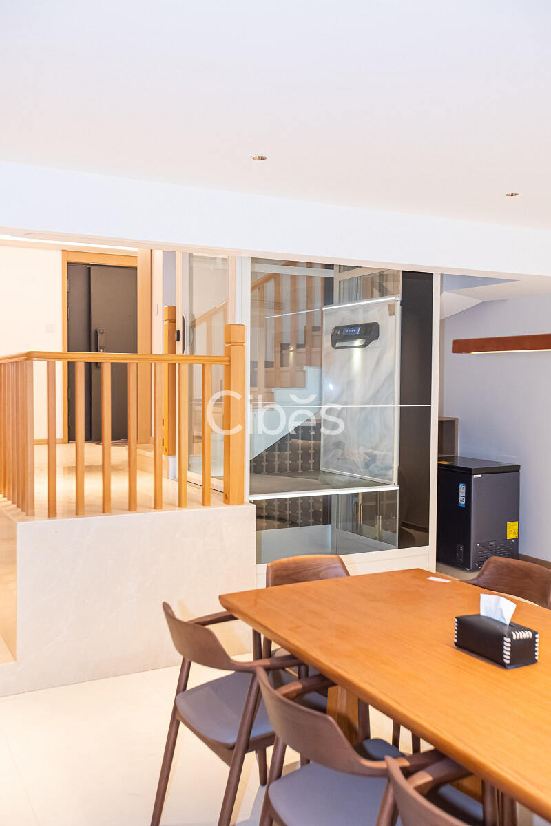 大发500别墅电梯V80时尚版重庆案例