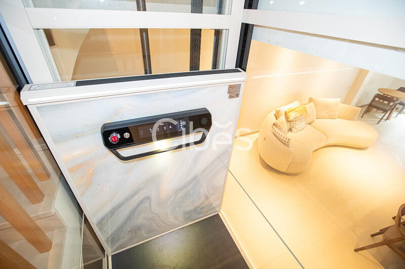 大发500别墅电梯V80时尚版重庆案例