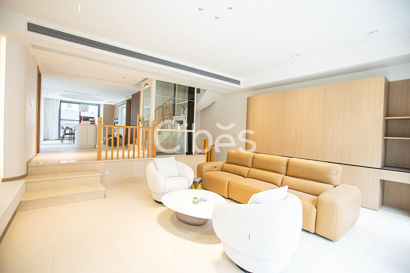 大发500别墅电梯V80时尚版重庆案例