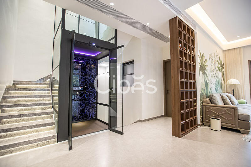 大发500别墅电梯V90星际版四川宜宾案例