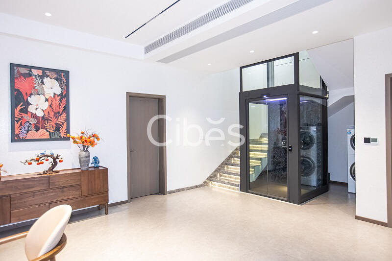 大发500别墅电梯V90星际版四川宜宾案例