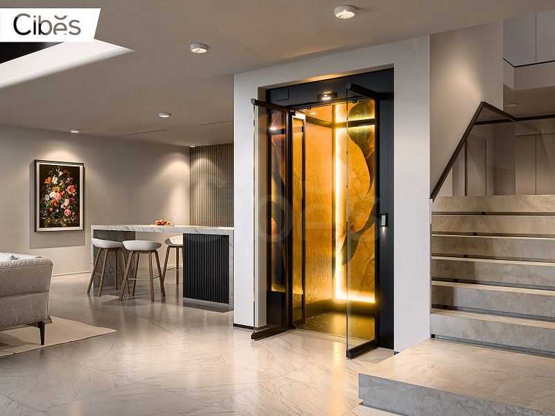 Cibes大发500家用电梯