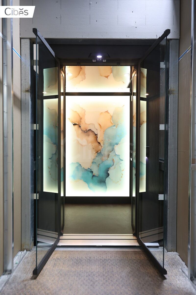 Cibes大发500家用电梯